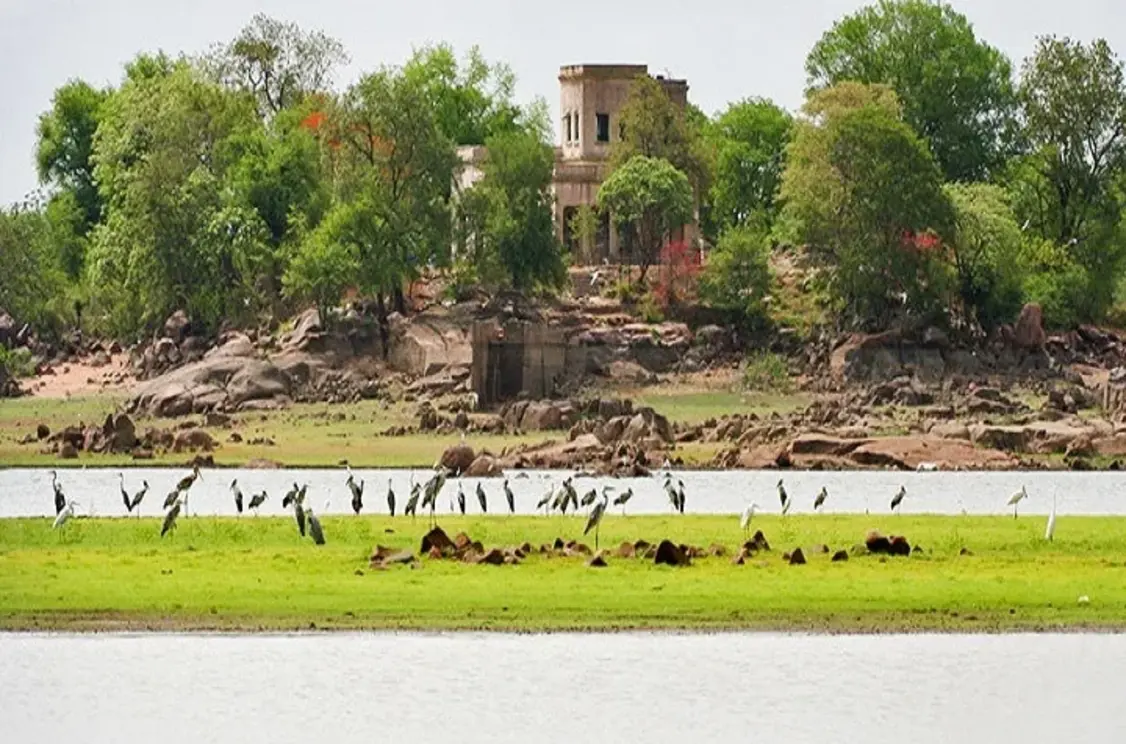 Pocharam Wildlife Sanctuar