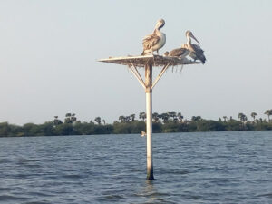 <a href="https://tourspots.in/west-godavari-tour-spots/">West Godavari</a>